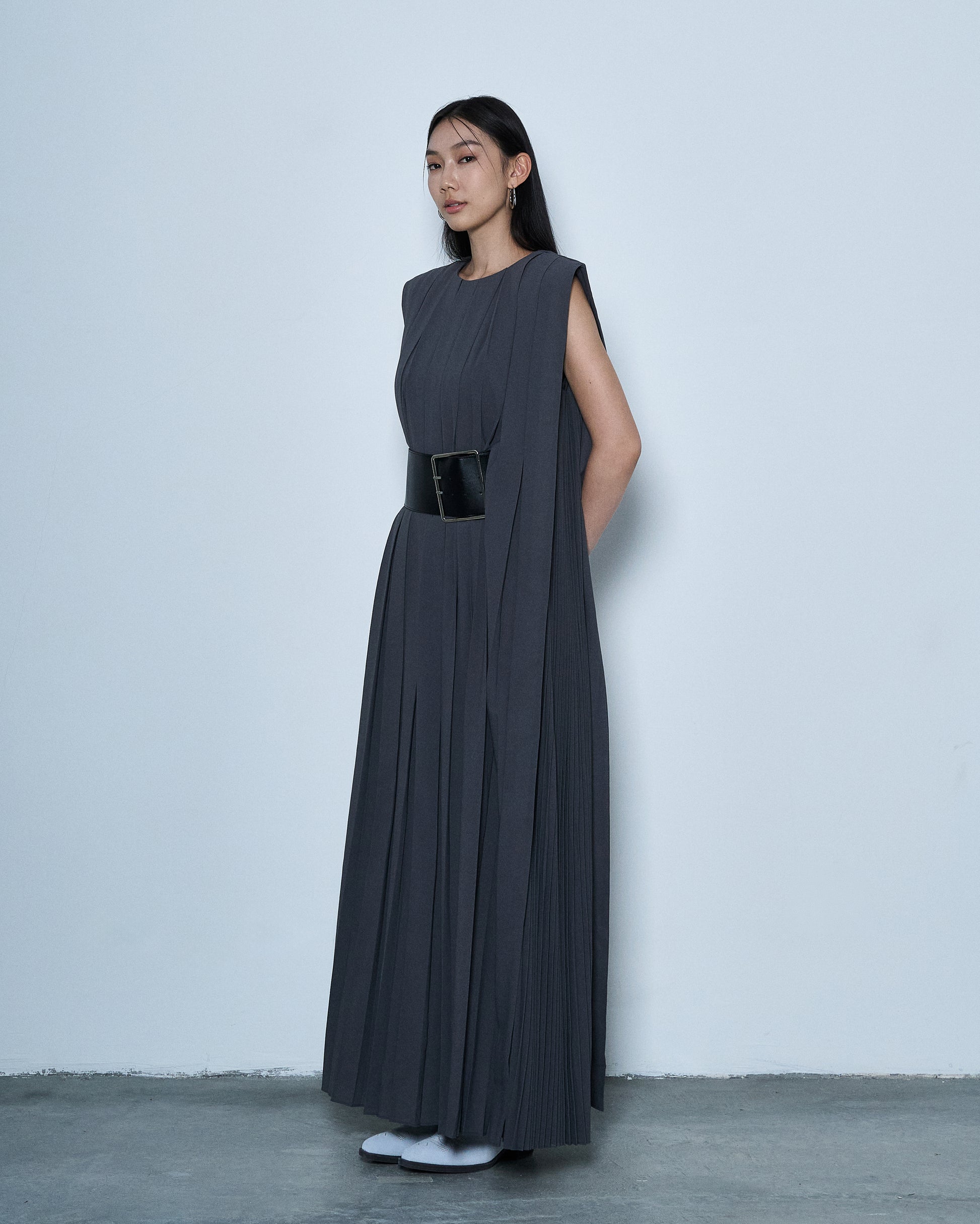 Belted Pleated Dress
